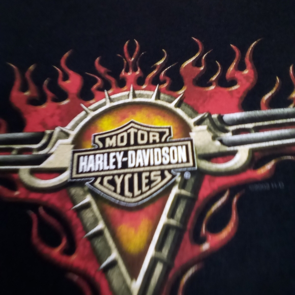 HARLEY DAVIDSON BEAUMONT TEXAS - Picture 6 of 10